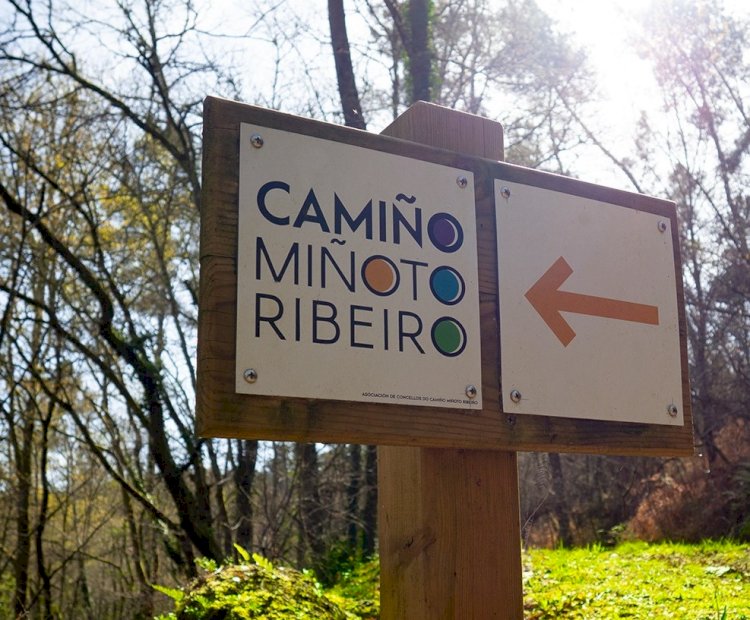 Caminho Minhoto Ribeiro recebe a Compostela