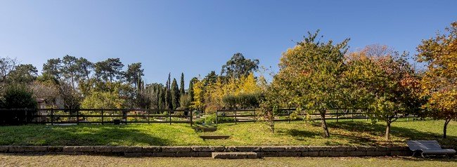 Serralves torna-se membro da Climate Change Alliance of Botanic Gardens