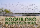 Estreia de curta metragem Boquilobo. Reserva de Futuro