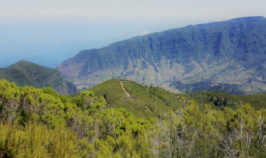 Projeto da estrada das Ginjas é um atentado ao património natural da Madeira, dizem nove ONG de Ambiente