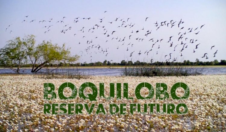 Estreia de curta metragem Boquilobo. Reserva de Futuro