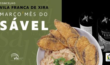 Março é o mês do Sável em Vila Franca de Xira
