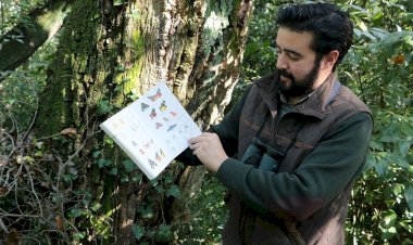 Mata Municipal do Bombarral vai ter uma estação de estudos de borboletas nocturnas