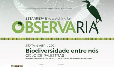 ObservaRia'21 com Ciclo de Palestras “Biodiversidade entre nós”