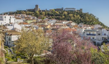 Visitas guiadas em Palmela regressam com a Primavera