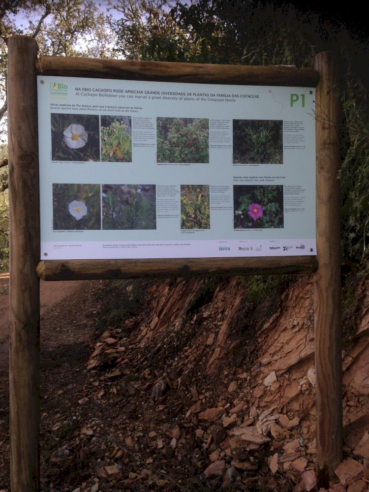 Tavira inaugura a Estação da Biodiversidade de Cachopo