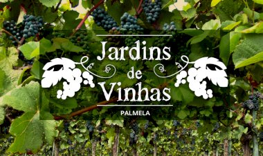 Novo Percurso Pedestre “Jardim de Vinhas” alia enoturismo e turismo de natureza