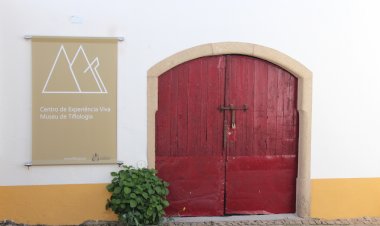 FNSE anuncia projecto no “Jardim Sensorial” do Centro de Experiência Viva - Museu de Tiflologia
