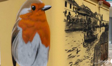 Nova obra de arte urbana em Silves