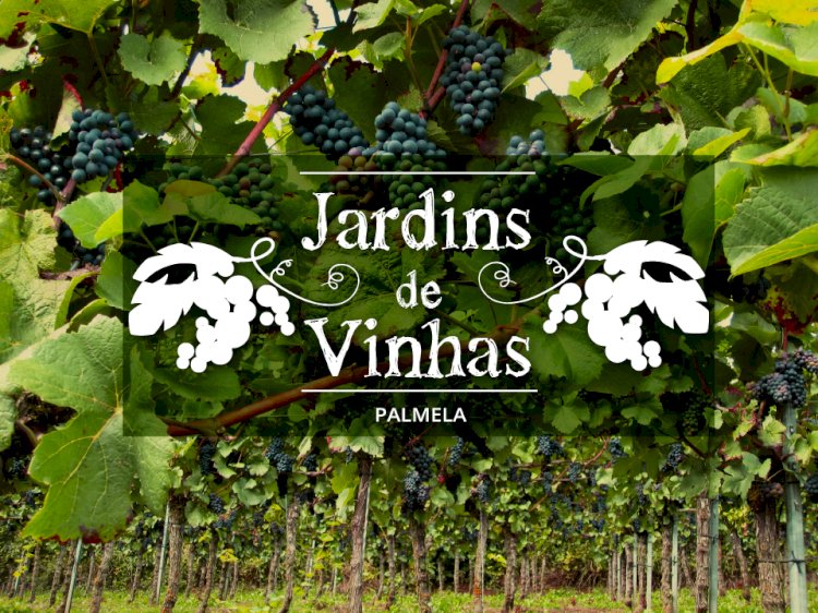 Novo Percurso Pedestre “Jardim de Vinhas” alia enoturismo e turismo de natureza