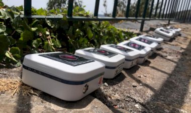 Primeiro laboratório de poluição luminosa na Madeira pretende ajudar a salvar aves marinhas