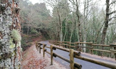 Ecopista de Vouzela inaugurada a 30 de Julho