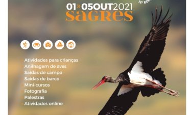 Mais de 150 atividades na natureza são a proposta de mais uma edição do festival mais apaixonado pela Natureza