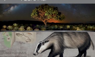 Exposição de Imagem de Natureza patente no Cosmos Azul e Mar
