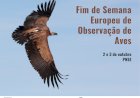 Fim-de-semana Europeu de Observação de Aves
