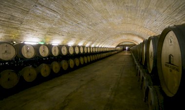 Monsaraz recebe a 5.ª Conferência Mundial de Enoturismo