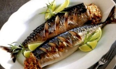 Gastronomia: Semana da Cavala