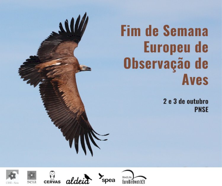 Fim-de-semana Europeu de Observação de Aves