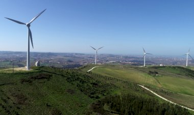 Torres Vedras continua entre os destinos mais sustentáveis do mundo
