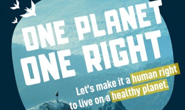 Conselho de Direitos Humanos da ONU consagra direito universal a um ambiente saudável