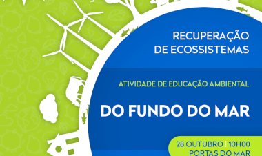 Câmara de Ponta Delgada promove ação de limpeza nas Portas do Mar