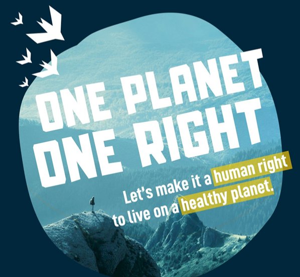 Conselho de Direitos Humanos da ONU consagra direito universal a um ambiente saudável