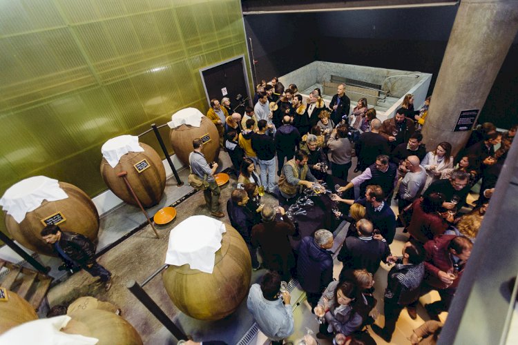 Alentejo reúne produtores de vinho de talha de todo o mundo no Amphora Wine Day