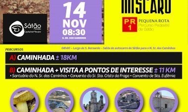 “Rota do Míscaro” no Sátão a 14 de Novembro