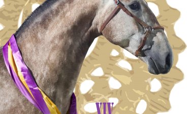 Cartaz da Feira do Cavalo de Ponte de Lima 2022 na Feira Nacional do Cavalo e Feira Internacional do Cavalo Lusitano - Golegã