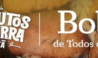 Produtos da Terra apresentam “Bolos de Todos os Santos” na Sertã em Novembro