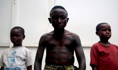 Porto/Post/Doc arranca este sábado na cidade do Porto