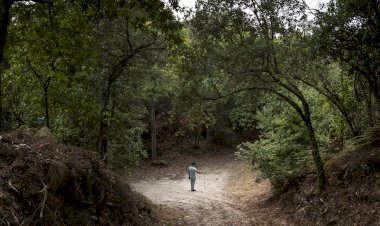 Exposição de Fotografia retrata acampamento cigano em Viana do Castelo