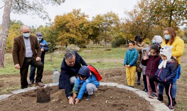 Dia da Floresta Autóctone assinalado em Viseu com a plantação de carvalho-alvarinho