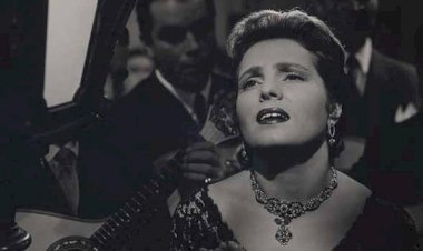 ‘Bem-Vinda Sejas, Amália’ em exposição em Proença-a-Nova
