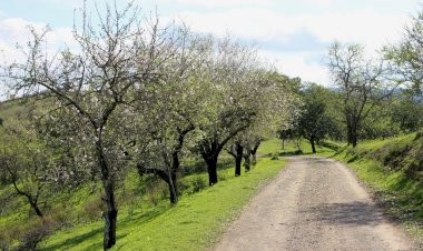 Primeira Cooperativa Agrícola do Concelho de Castro Marim – GuadiMonte
