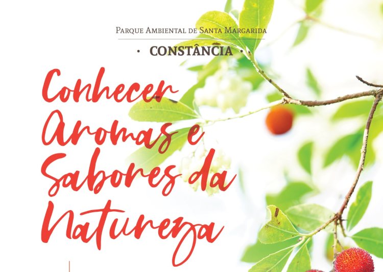 Aromas e Sabores da Natureza no Parque Ambiental de Santa Margarida