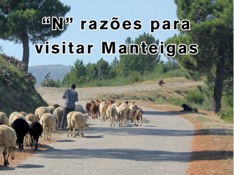 "N" razões para visitar Manteigas