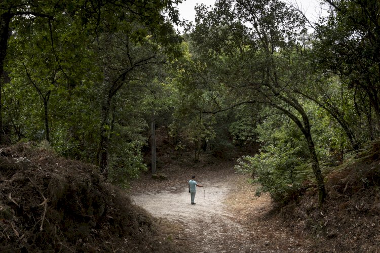 Exposição de Fotografia retrata acampamento cigano em Viana do Castelo