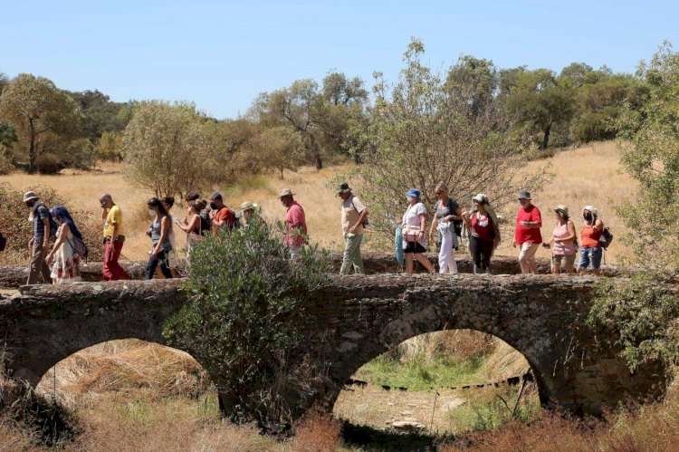 Festival de Caminhadas TransAlentejo integra percurso pedestre em Reguengos de Monsaraz