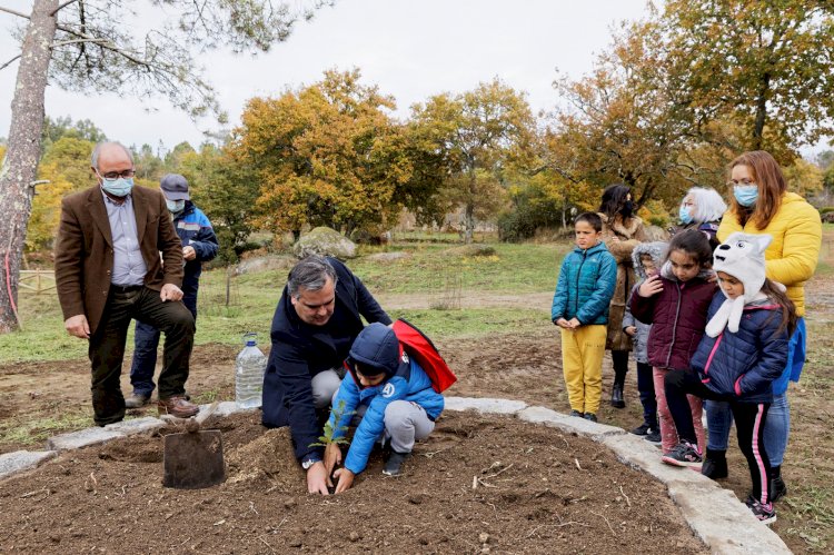 Dia da Floresta Autóctone assinalado em Viseu com a plantação de carvalho-alvarinho