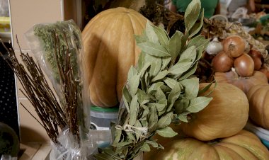 Tavira celebra aniversário da Dieta Mediterrânica como Património Cultural Imaterial da Humanidade