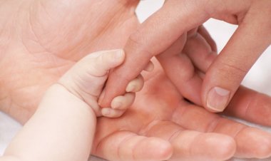 Câmara de Idanha-a-Nova aprova medidas de apoio às famílias e à promoção da natalidade