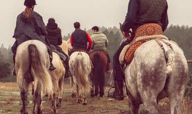 7º Edição do Passeio Equestre Penamacor Vila Madeiro