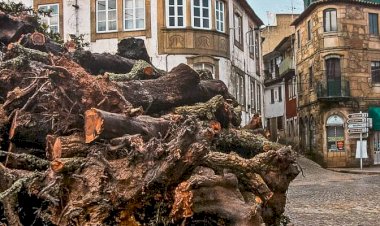 Exposição “Madeiro: Património e Identidade” patente no Museu Municipal de Penamacor
