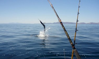 Clube Amadores de Pesca de Setúbal