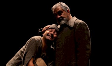 Cendrev e A Escola da Noite apresentam “Floresta de Enganos”