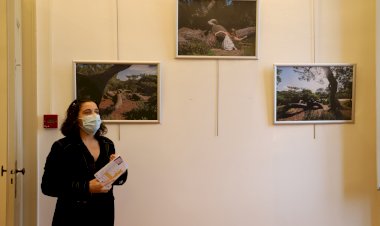 Exposição de fotografia de Rute Violante prolongada até ao dia 15 de Janeiro