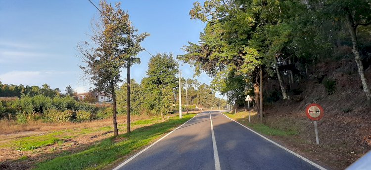 Faixas de gestão de combustível no Município de Tondela