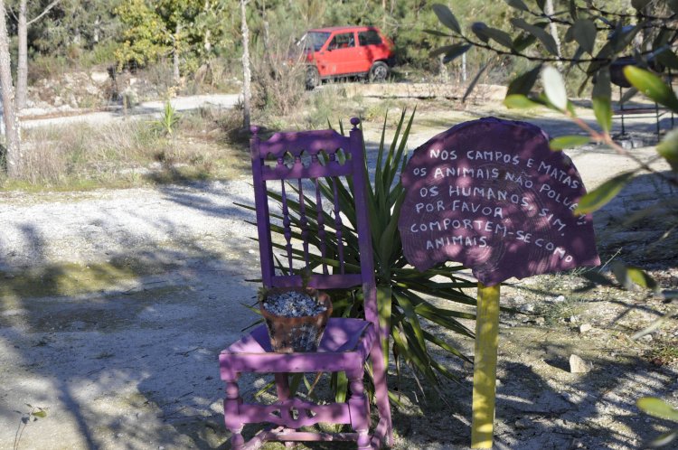 Lazer  Baloiços e lugares - Baloiço da Pedreira, Castro Daire