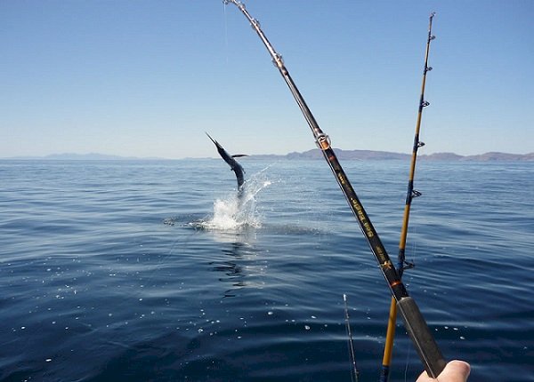 Clube Amadores de Pesca de Setúbal